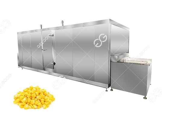 Chine Chaîne de fabrication gelée personnalisable ligne de maïs de prix usine de transformation de fruits fournisseur