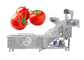 Les tomates industrielles de machine à laver de bulle de fruit poivrent le joint de bulle pour des fruits et légumes fournisseur