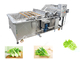 Installation de fabrication de fruits et légumes de machine à laver de légume-feuille sans Damanage fournisseur