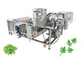 Installation de fabrication de fruits et légumes de machine à laver de légume-feuille sans Damanage fournisseur