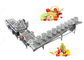 Installation de fabrication de lavage de fruits et légumes de fruits et légumes automatiques de joint fournisseur