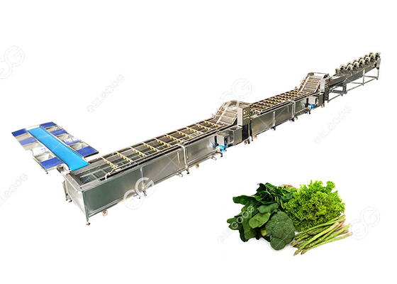 Chine Le CE a certifié la ligne végétale commerciale usine de lavage de joint d'acier inoxydable de transformation de légumes fournisseur