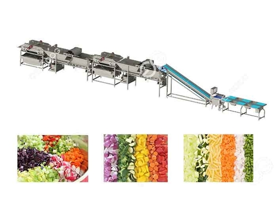 Chine Ligne végétale commerciale de transformation de légumes d'équipement de lavage de fruit pour l'usine de transformation de légumes fournisseur
