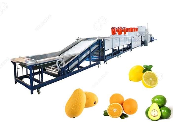 Chine Nettoyage de cirage de lavage orange de fruit de machine de séchage et d'évaluation et cirage de la machine fournisseur