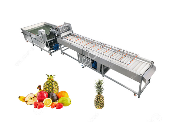 Chine Transformation de fruits de nettoyage de machine de grand ananas de sortie Equipment2T/H fournisseur