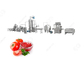 Chaîne de production industrielle de sauce tomate d'équipement de machine de développement de sauce tomate 1T/H fournisseur