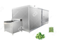 Chaîne de fabrication de brocoli et de chou-fleur congelés automatiques de vente chaude Chaîne de fabrication de fruits et légumes fournisseur