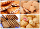 Ligne de production de biscuits en acier inoxydable, machine de fabrication de biscuits efficace fournisseur