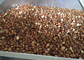 Noix de cajou de séchage Shell de noisette cassant la machine pour l'industrie, 500 kg/h heures fournisseur