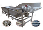 Machine de lavage du poisson de nettoyage de bulle, rendement élevé de machines de Henan GELGOOG fournisseur