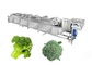 Chaîne de production de nettoyage de lavage végétale de chou-fleur surgelé industriel de brocoli fournisseur