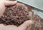 Machine de torréfaction/tarare Nuts professionnels de Peeler de cacao acier inoxydable fournisseur