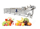 Machine à laver Australie de fruit de fabricants de machine à laver de fruit fournisseur