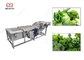 Machine à laver de feuilles de vert de machine à laver du légume feuillu 300-5000KG/H fournisseur